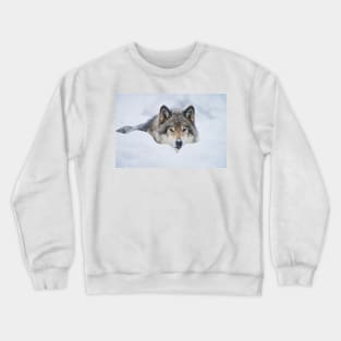 Gray Wolf Crewneck Sweatshirt